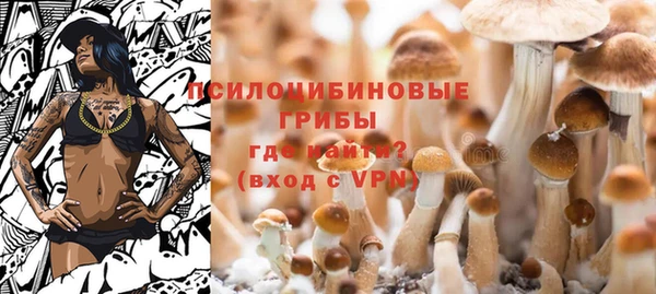 крисы Алексеевка
