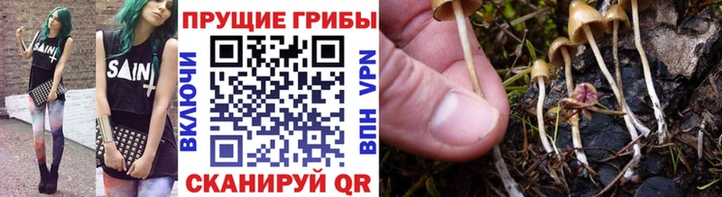 Галлюциногенные грибы ЛСД закладка Бахчисарай