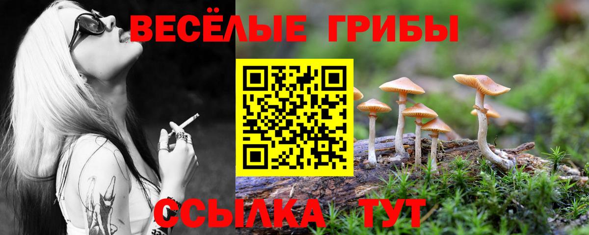 Галлюциногенные грибы Magic Shrooms  Вход с VPN  Галлюциногенные грибы Magic Shrooms  продажа наркотиков  Бахчисарай 